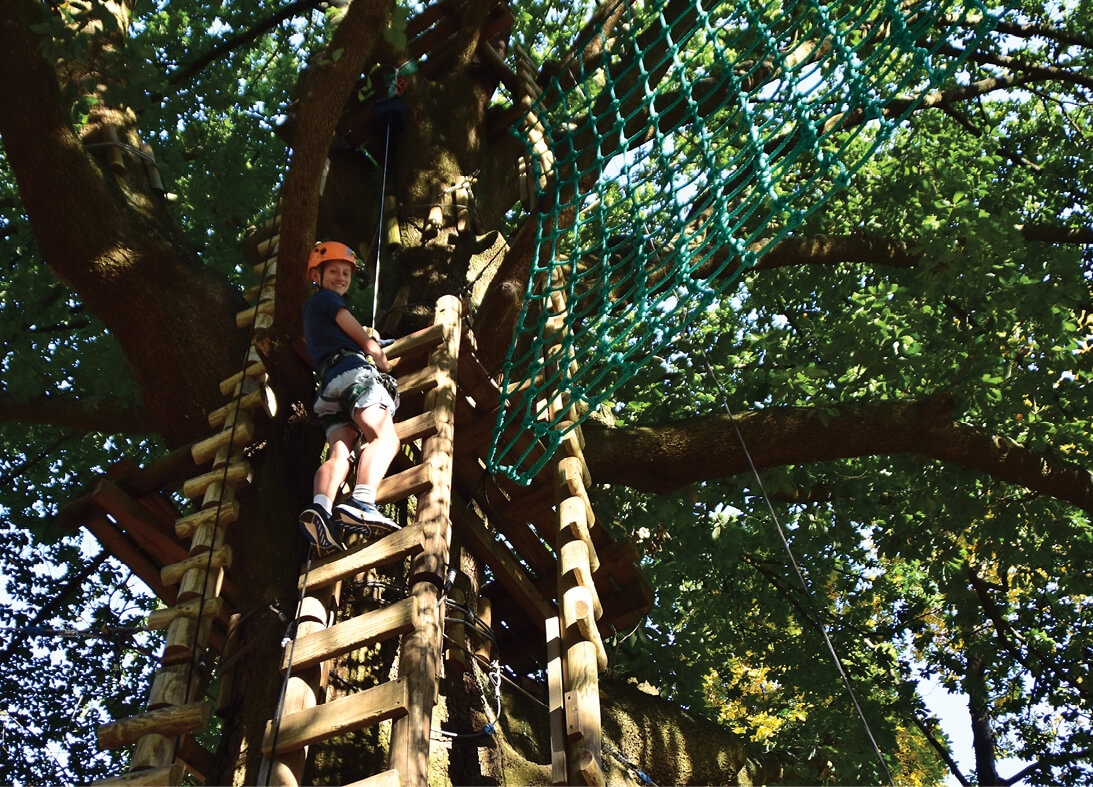 Treetops Adventure Belgrave5