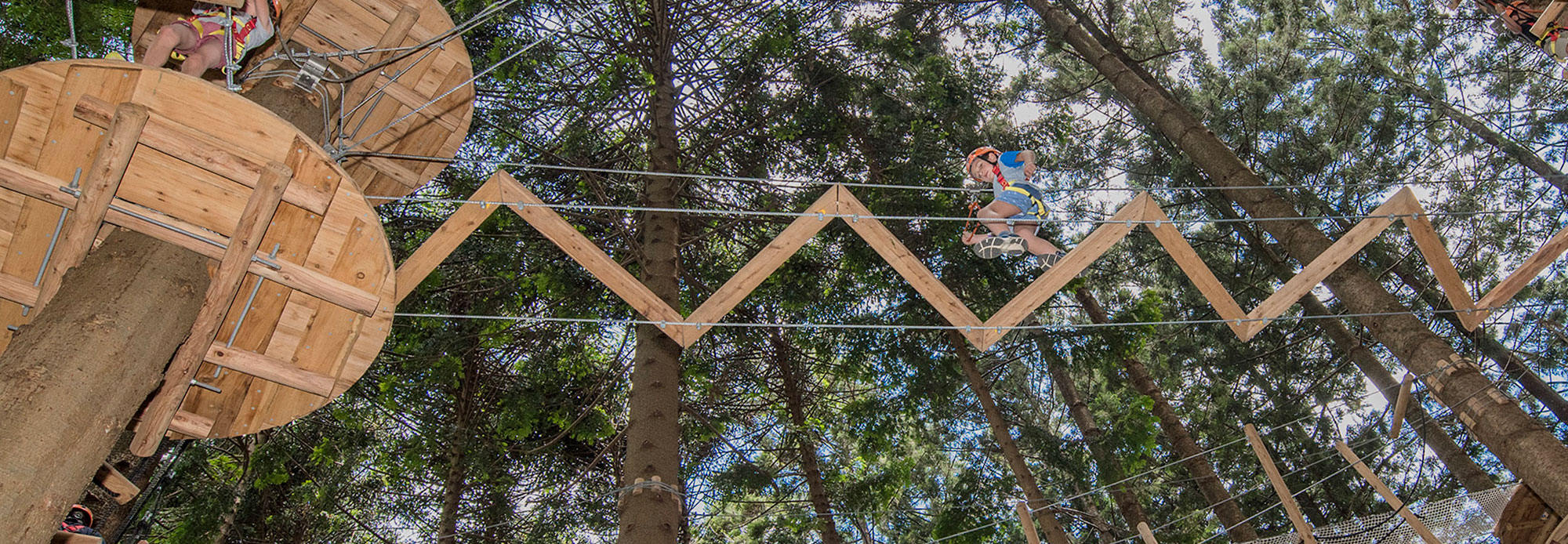 Treetops Adventure The Hills High Ropes Course