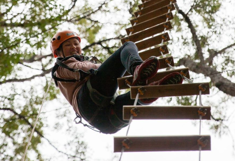 Activities - Treetops Adventure