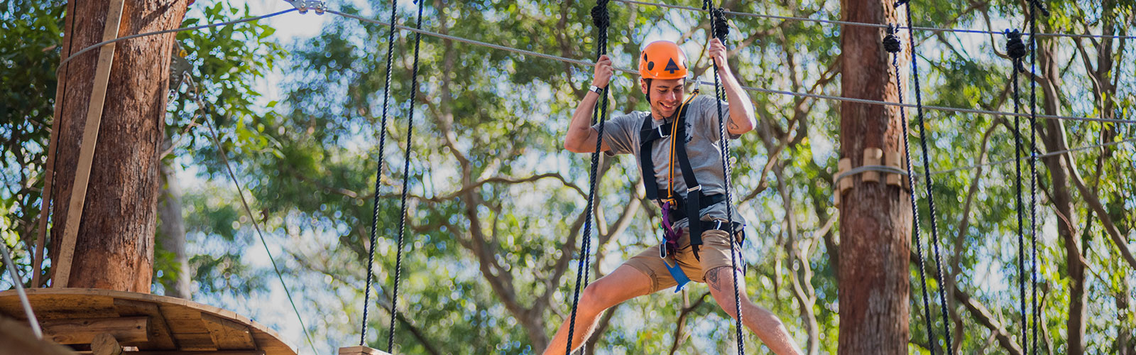 Treetops Adventure Central Coffs Harbour High Ropes Course