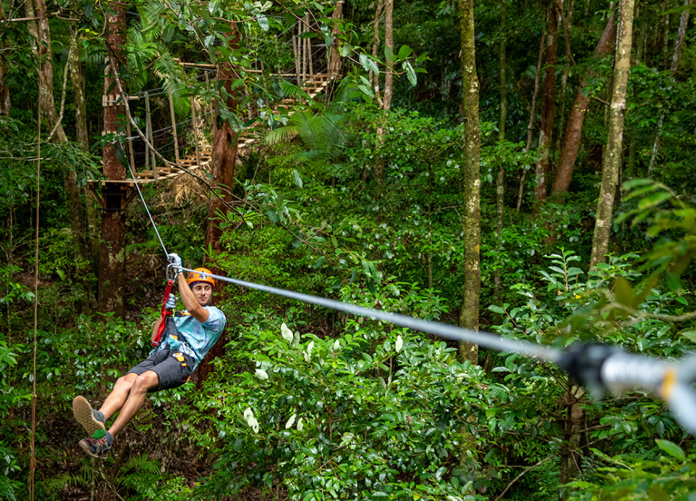 Cape Tribulation Zip 4