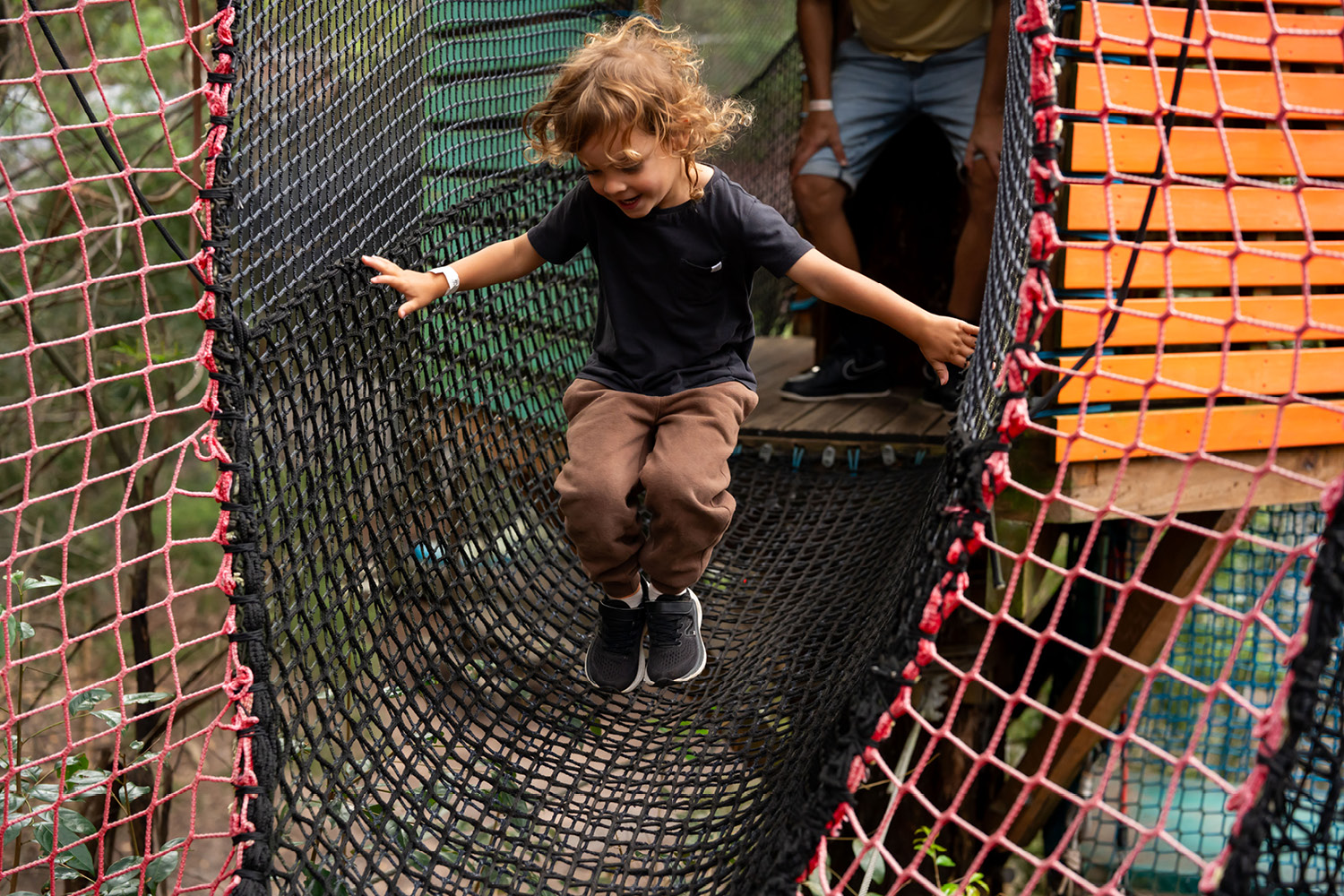 Treetops Adventure Central Coast | Canberra | Networld | Kids