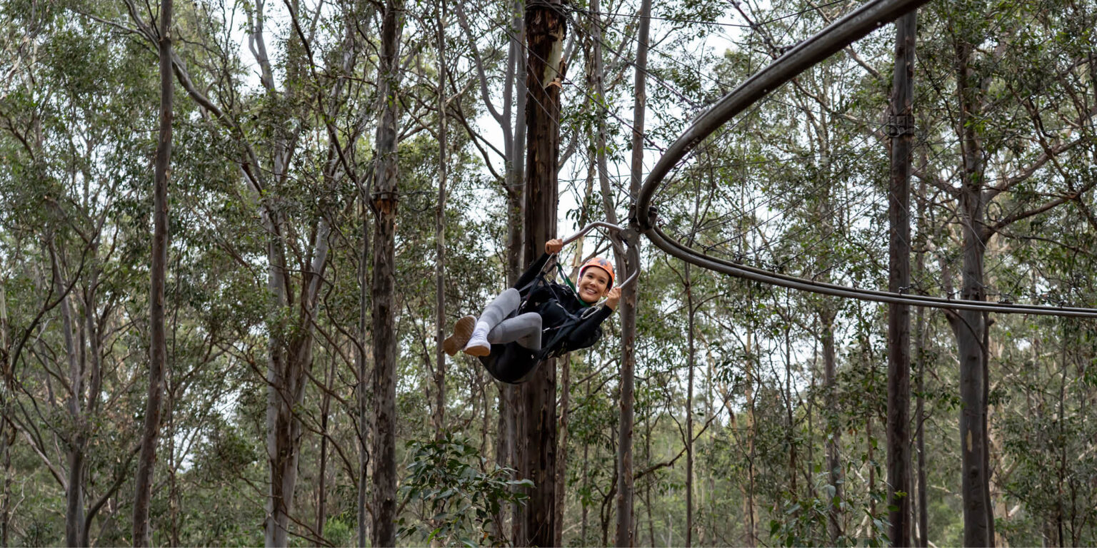 Treetops Western Sydney. Zipcoaster. Longest zipline at the park.