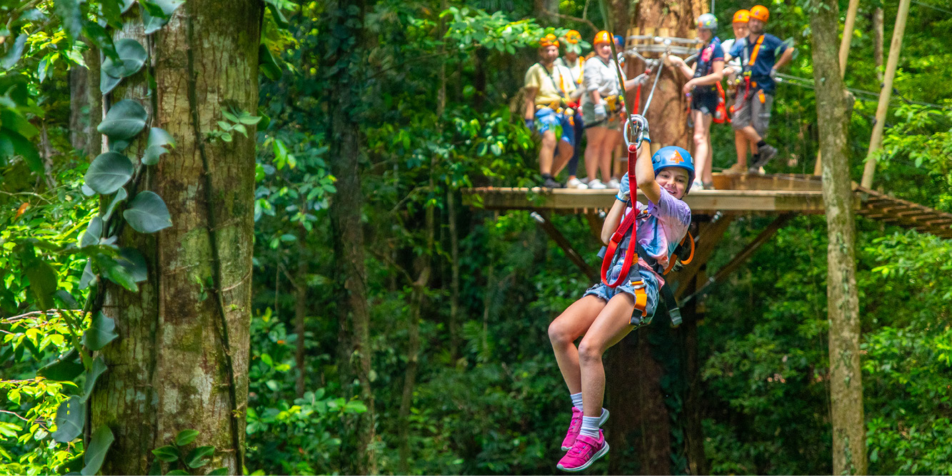 Treetops Adventure Cape Tribulation | Zipline in the Daintree Rainforest