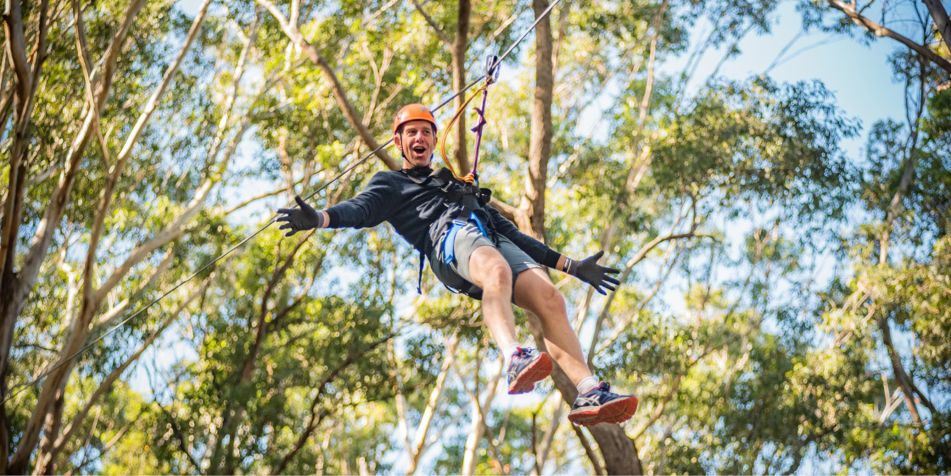 Treetops Adventure Coffs Harbour | Scenic Zipline & Tree Ropes Park