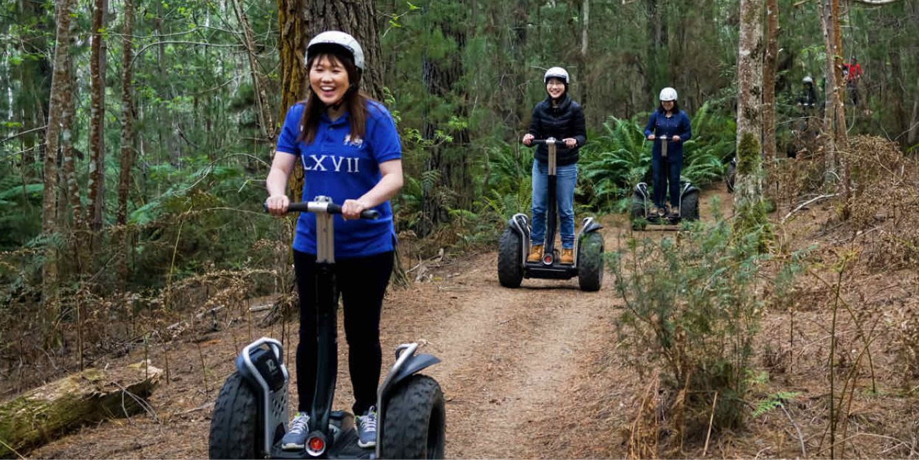Treetops Adventure Hollybank | Segway Tasmania