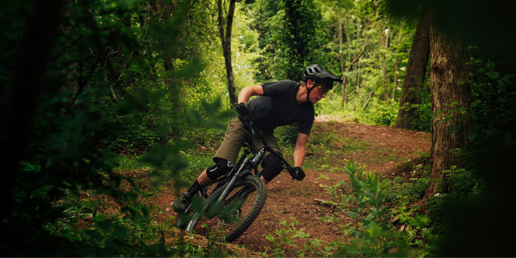 Treetops Adventure Hollybank | Tasmania's longest Zipline