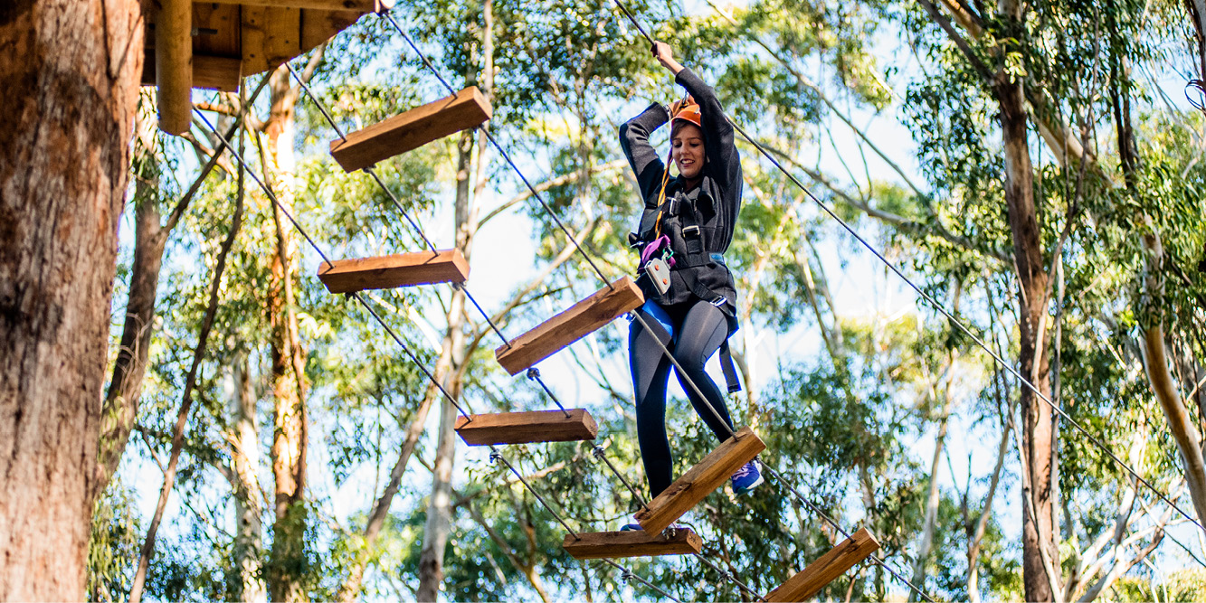 Treetops Adventure Newcastle | Fastest Ziplines & High Ropes