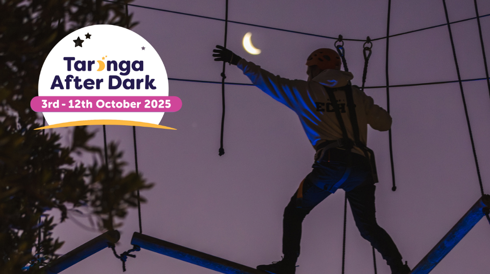 Wild ropes taronga after dark
