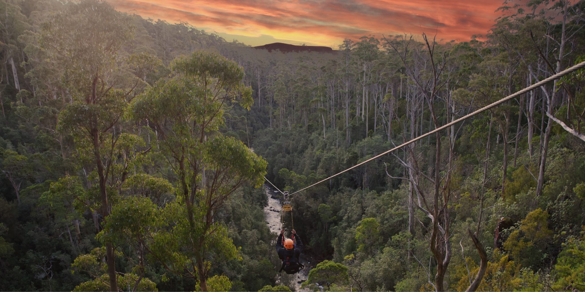 Treetops Adventure Hollybank | Tasmania's longest Zipline