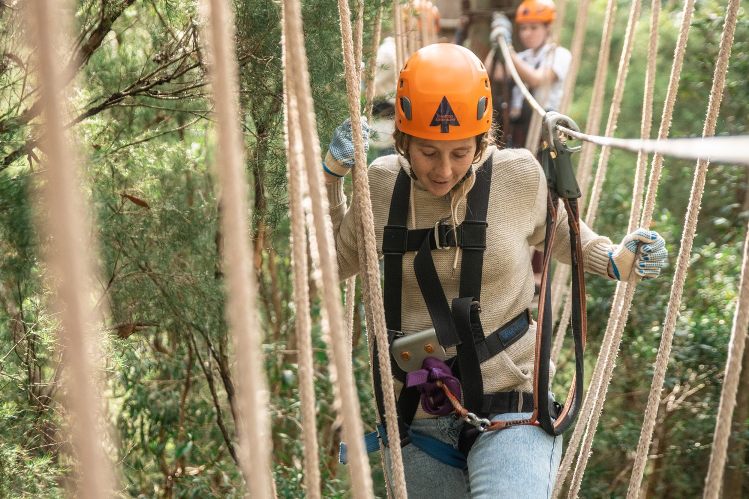 Treetops Adventure Belgrave | High Ropes & Zipline Adventure in Dandenong Ranges