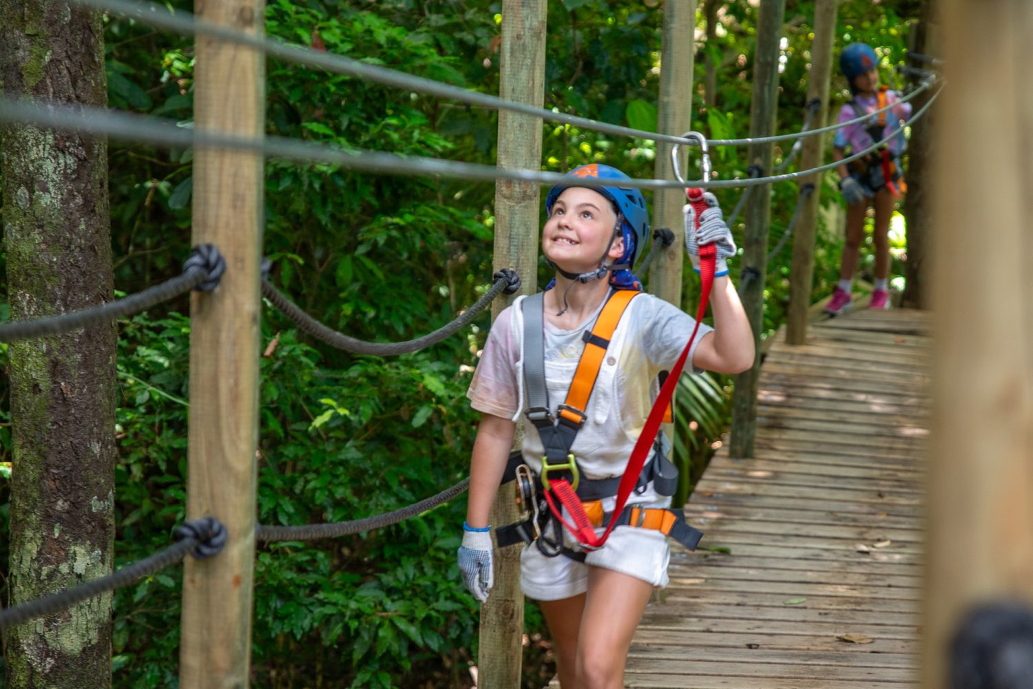 Ultimate Daintree Treetops Adventure Cape Tribulation | Zipline in the Daintree Rainforest