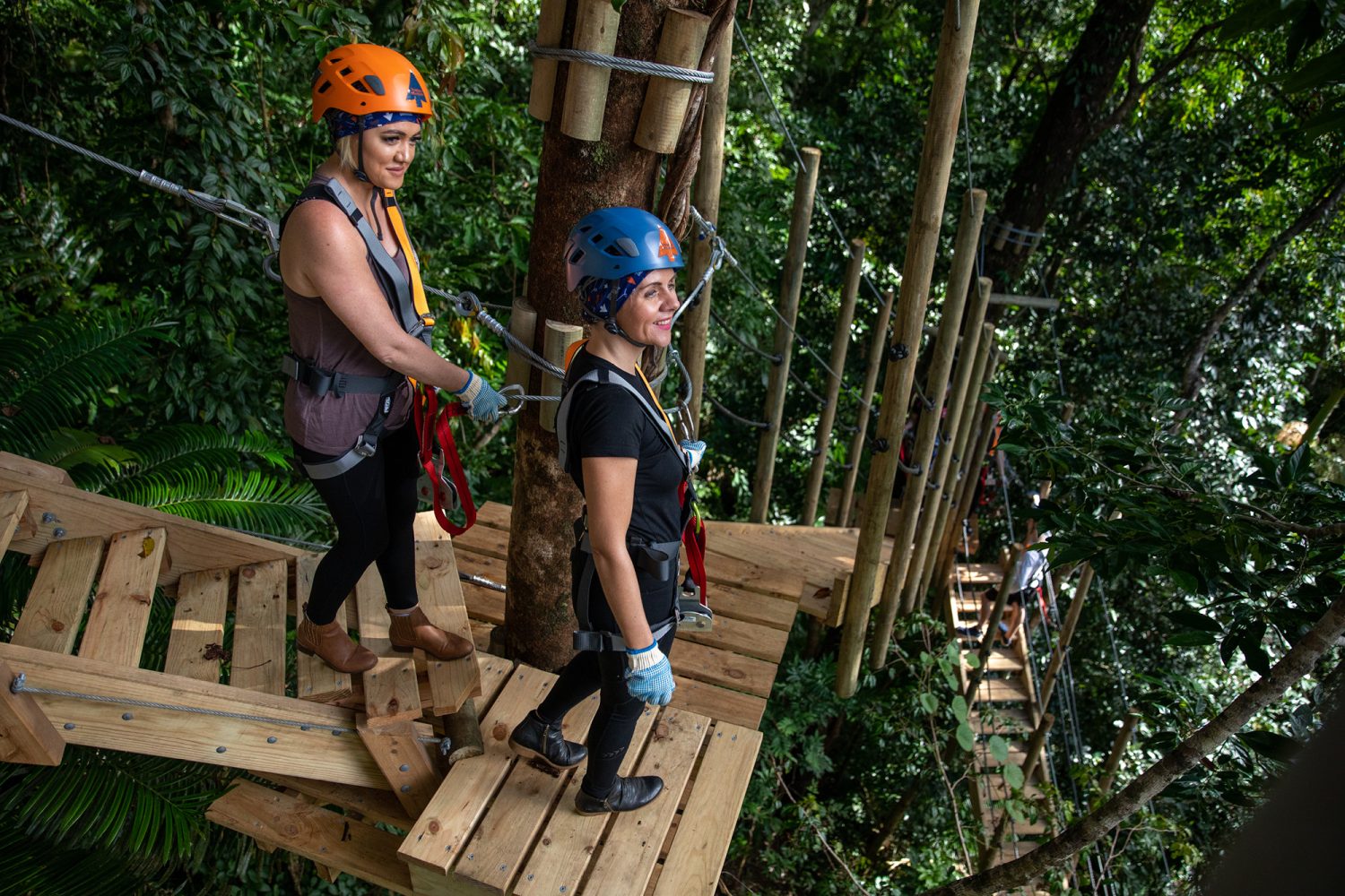 Treetops Adventure Cape Tribulation | Zipline in the Daintree Rainforest