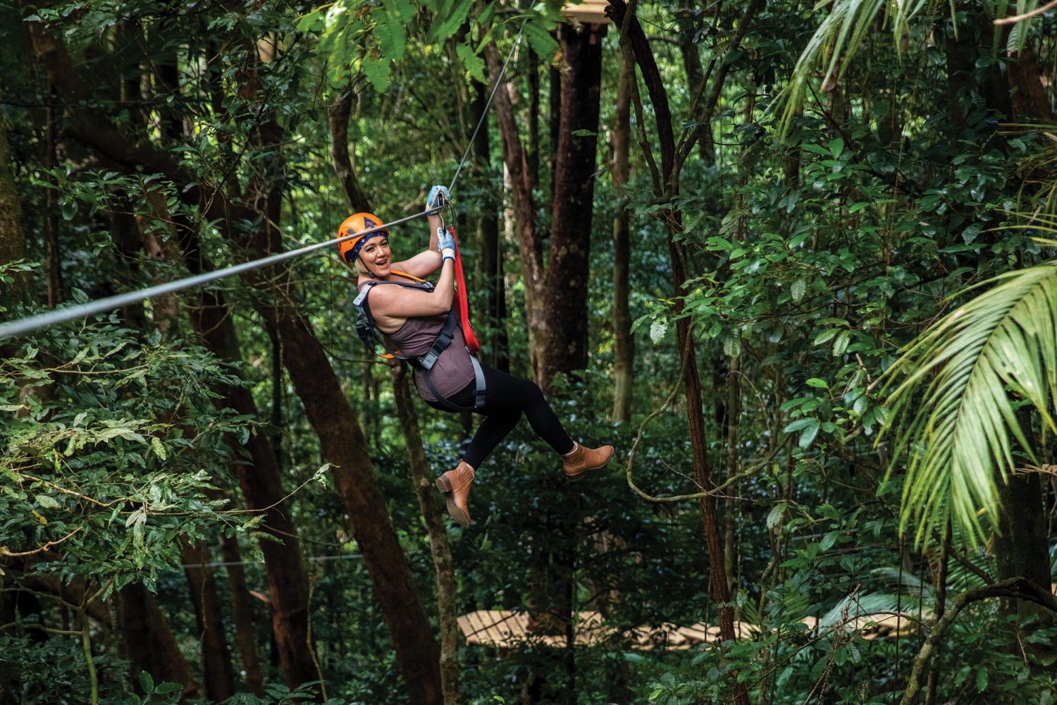 Treetops Adventure Cape Tribulation | Zipline in the Daintree Rainforest