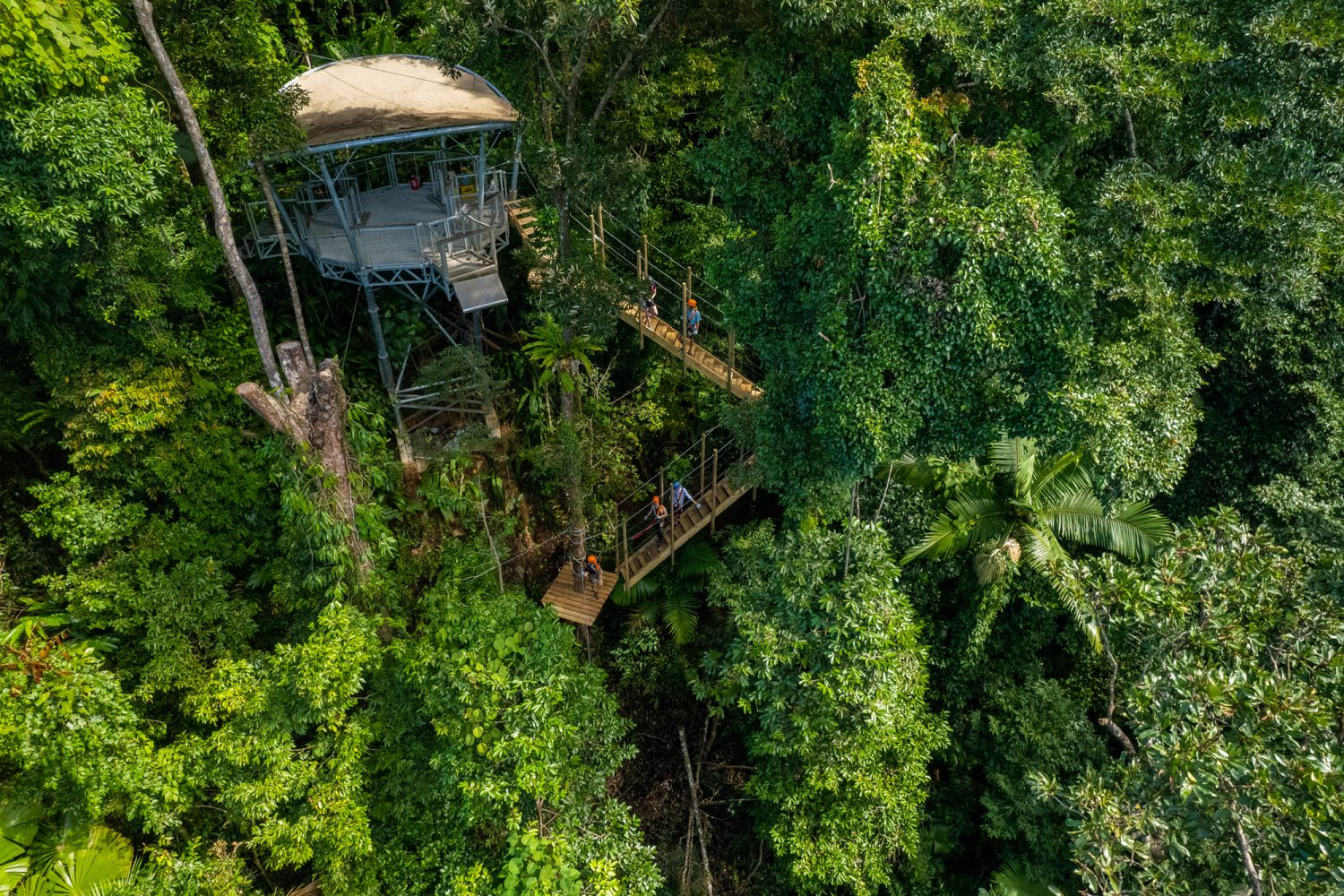 TreetopsCapeTrib_PicsPark_1500x100px7