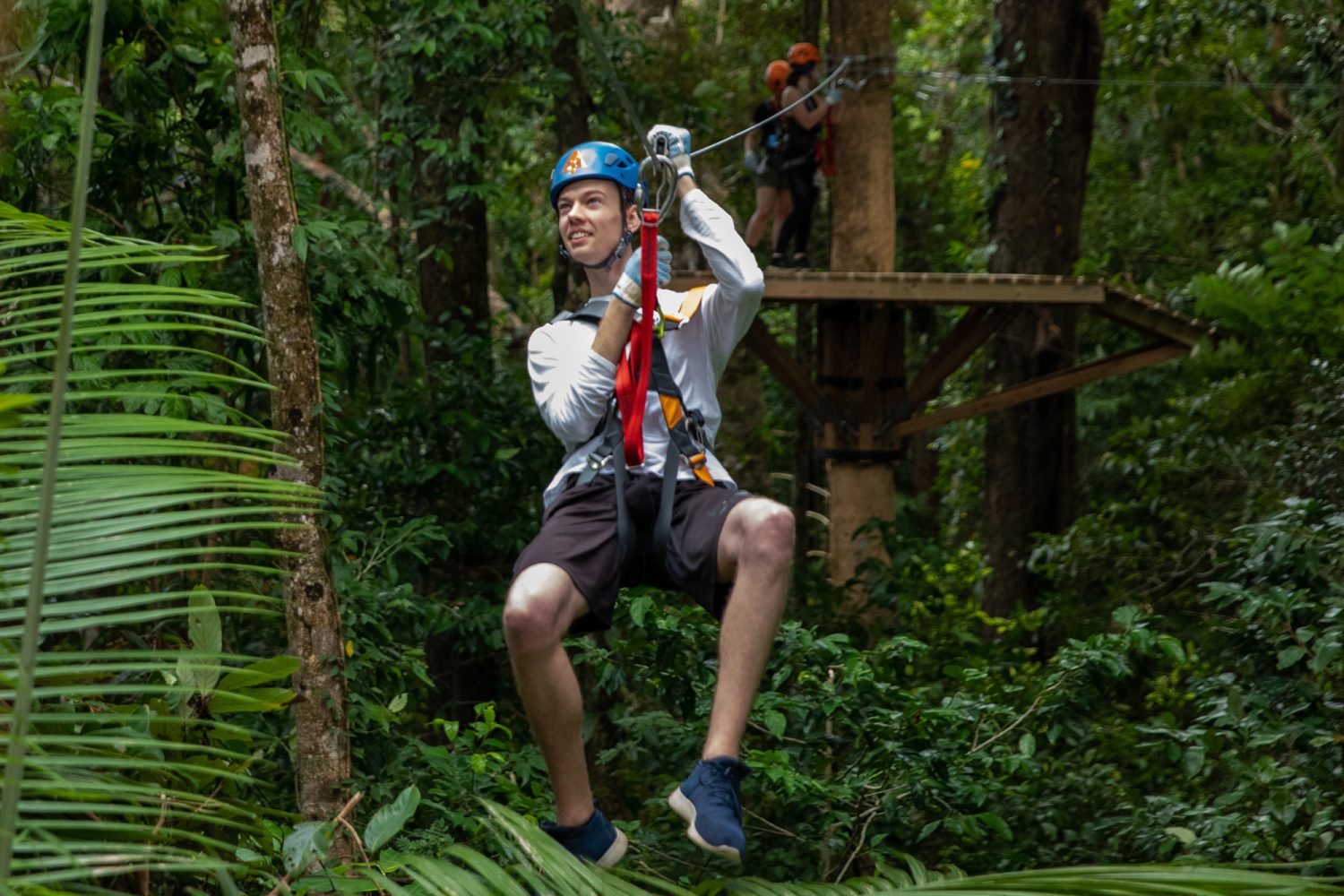 Ultimate Daintree Tours Treetops Adventure Cape Tribulation | Zipline in the Daintree Rainforest