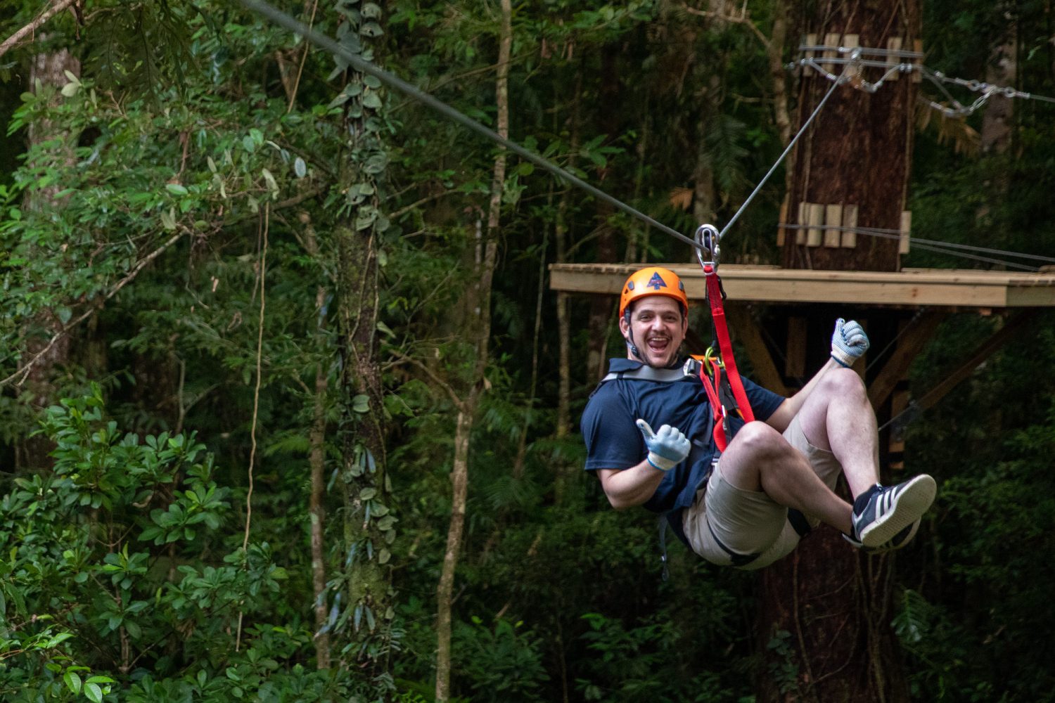 Ultimate Daintree Tours Treetops Adventure Cape Tribulation | Zipline in the Daintree Rainforest