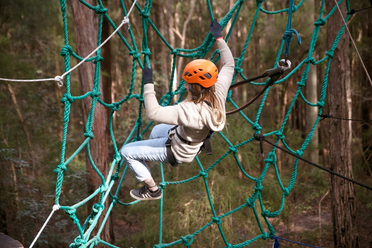 Tree ropes spider activity