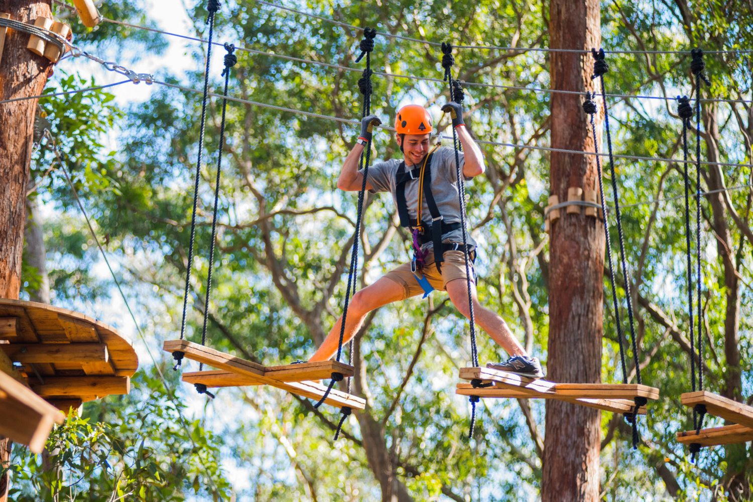 Tree ropes suspended crosses activity