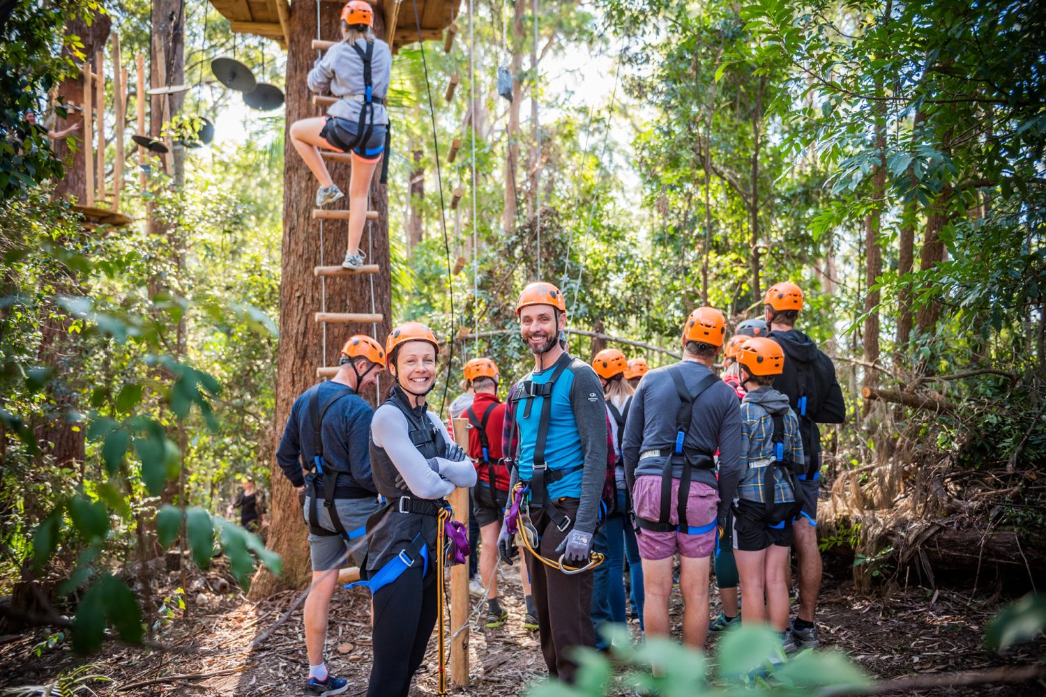Treetops Adventure Coffs Harbour | Scenic Zipline & Tree Ropes Park