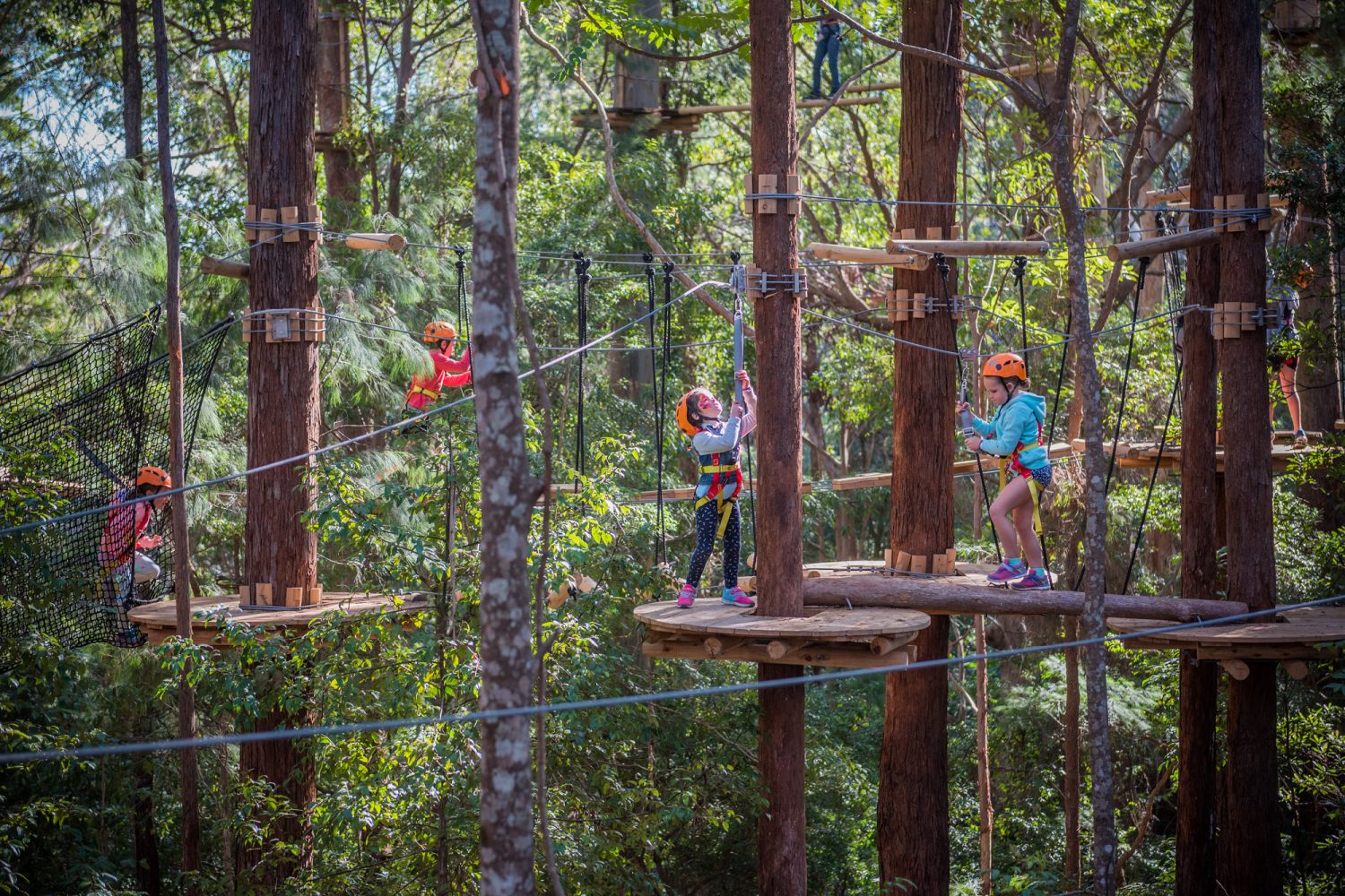 Treetops Adventure Coffs Harbour | Scenic Zipline & Tree Ropes Park