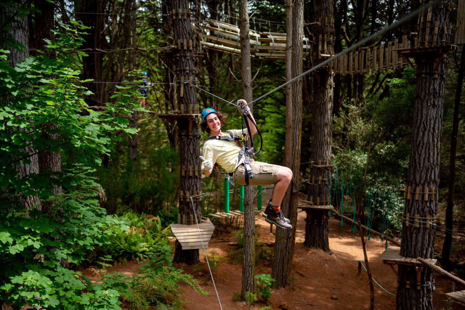 Zip through the treetops! Treetops Hollybank