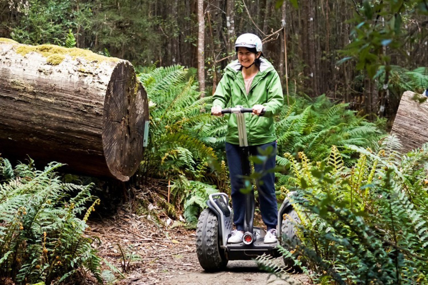 Enjoy the Segway Tour in the Blue Gum Forest of Tasmania