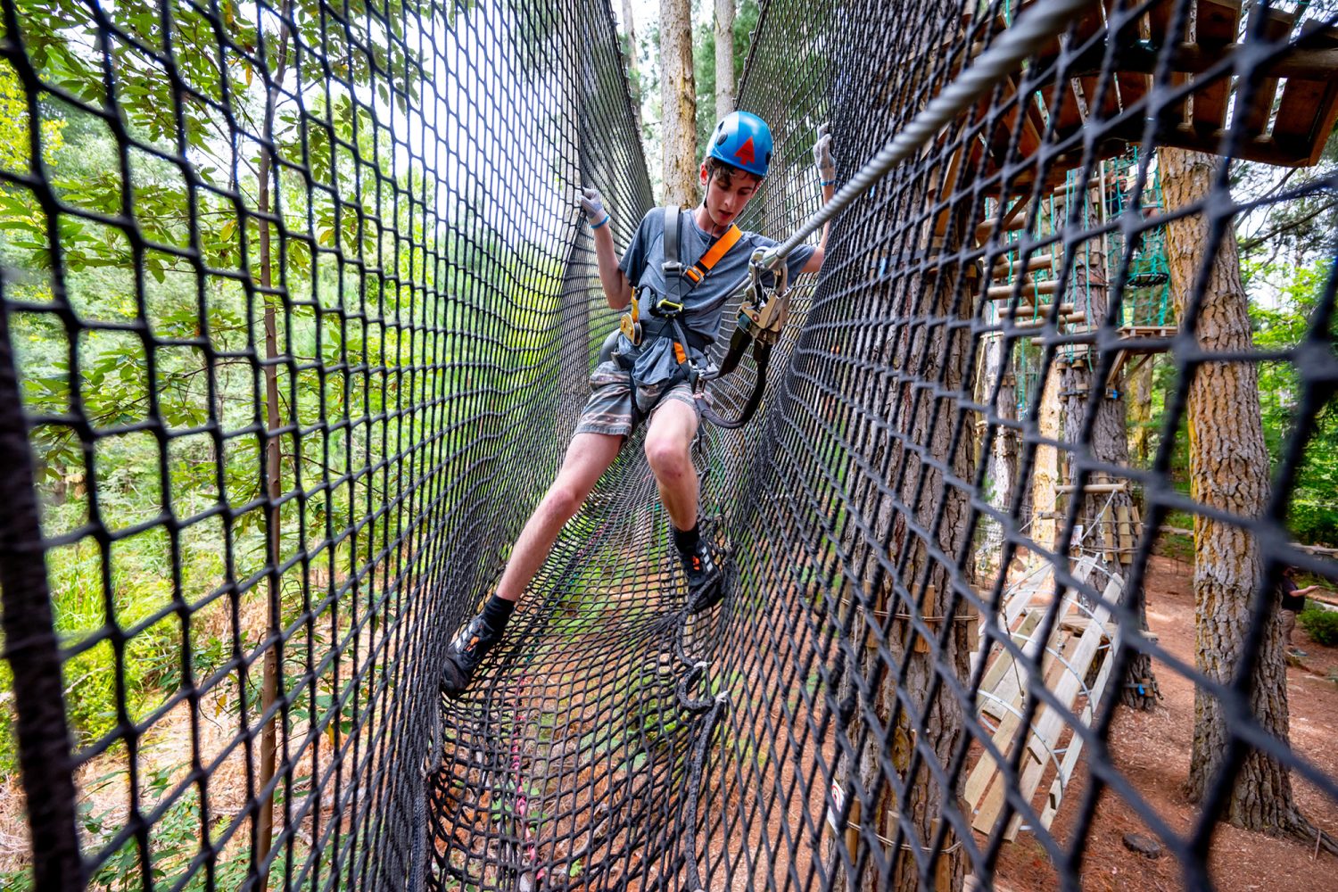 Challenge yourself with the Tree Ropes course
