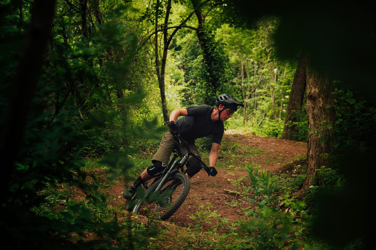 Mountain Bike in the Blue Gum Forest of Tasmania