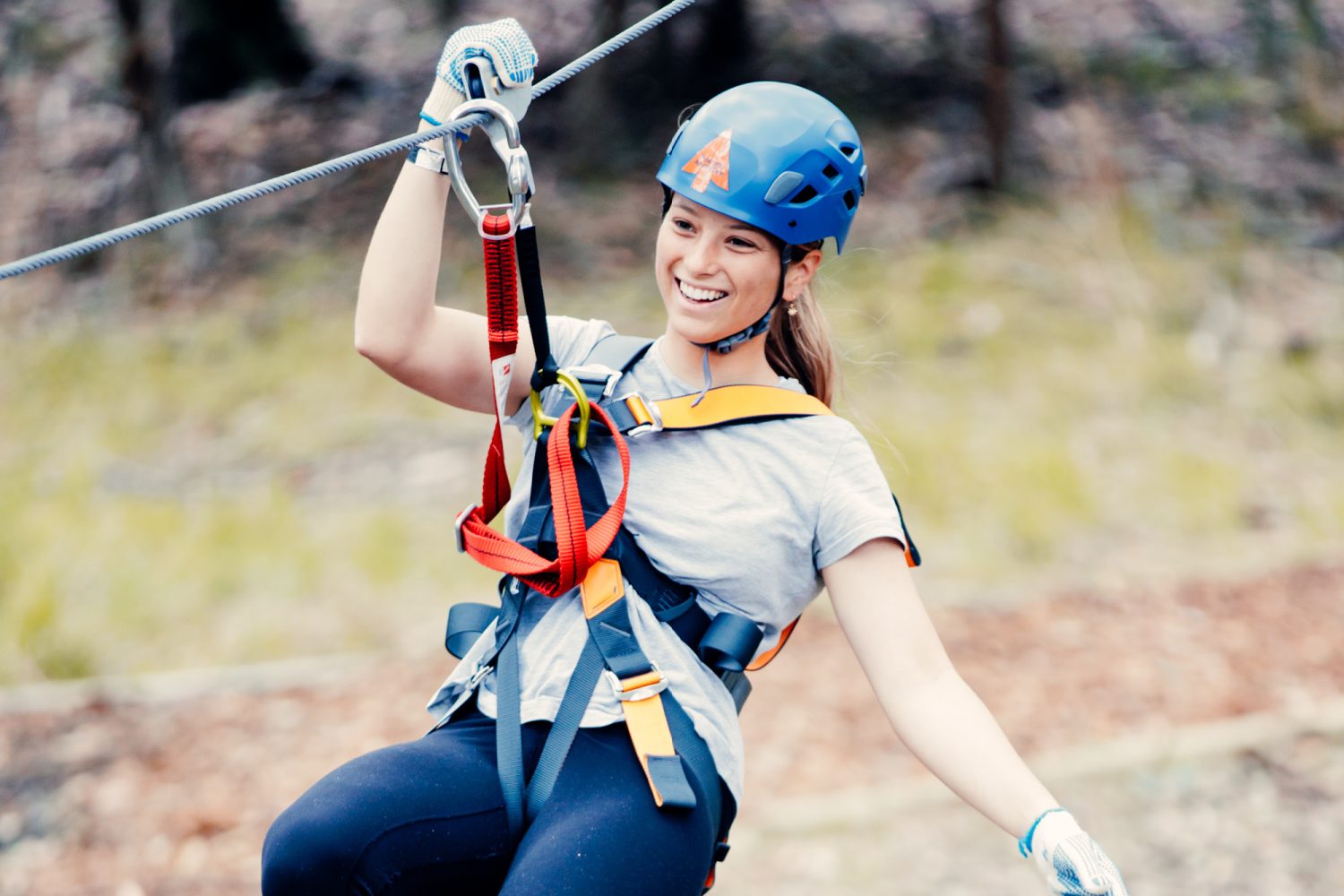 Treetops Adventure St Ives | Family-Friendly High Ropes & Ziplines