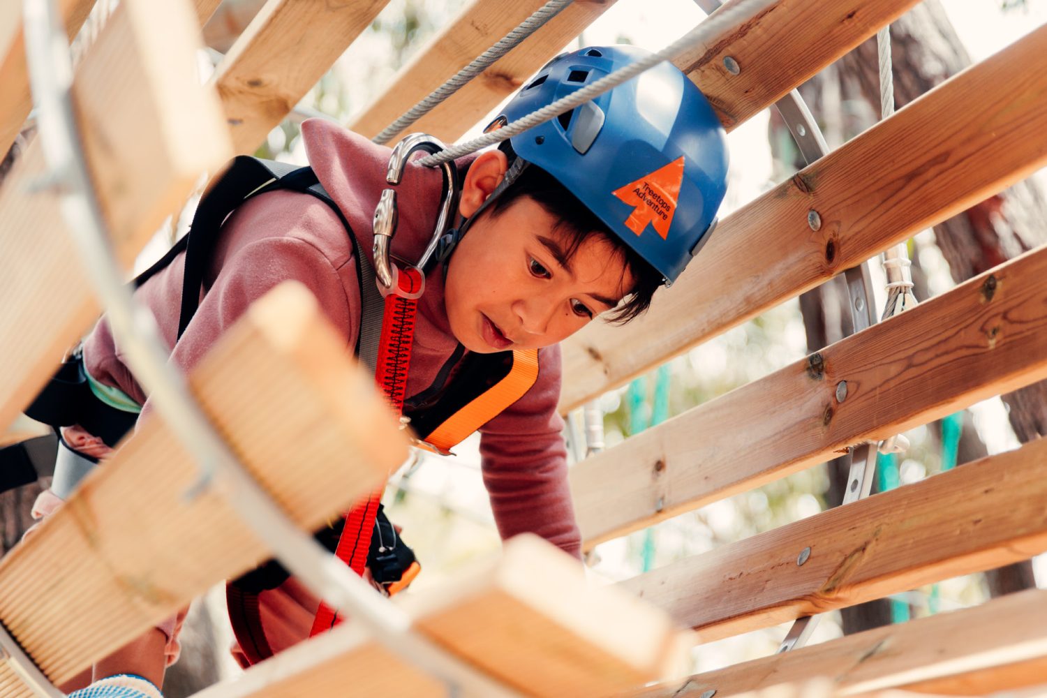 Kids Treetops Adventure St Ives | Family-Friendly High Ropes & Ziplines