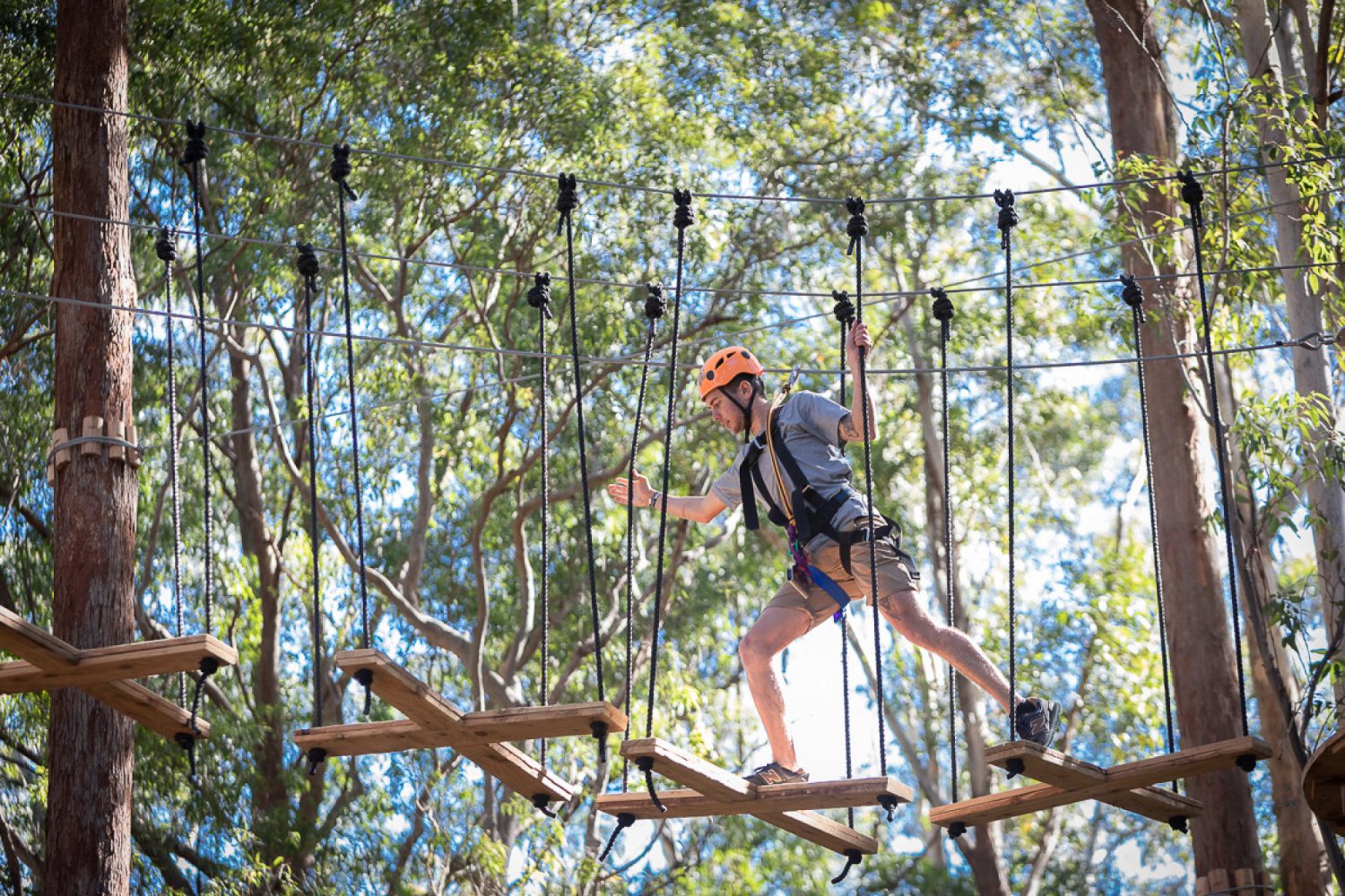Treetops Adventure The Hills | Scenic High Ropes & Ziplines