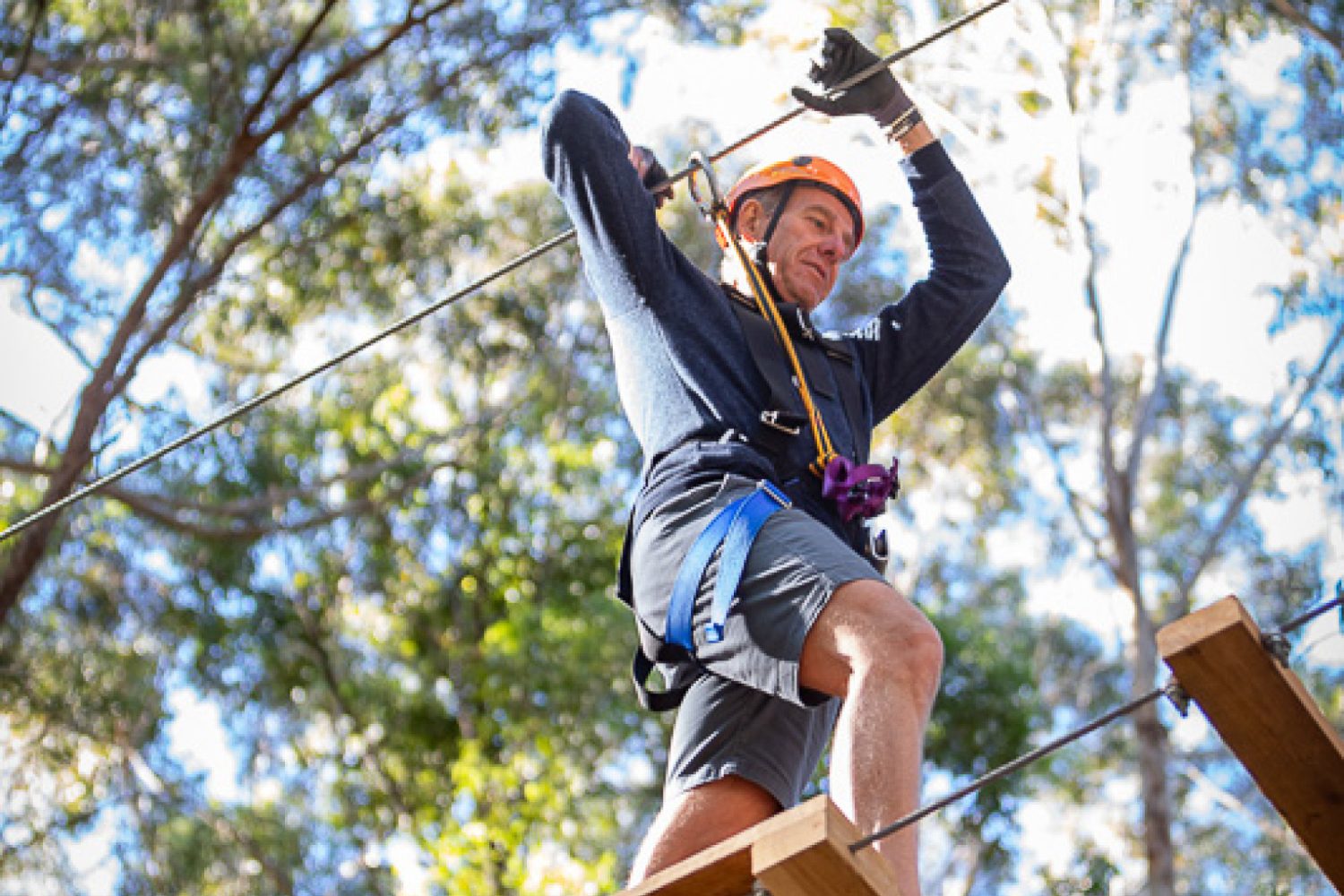 Treetops Adventure The Hills | Scenic High Ropes & Ziplines