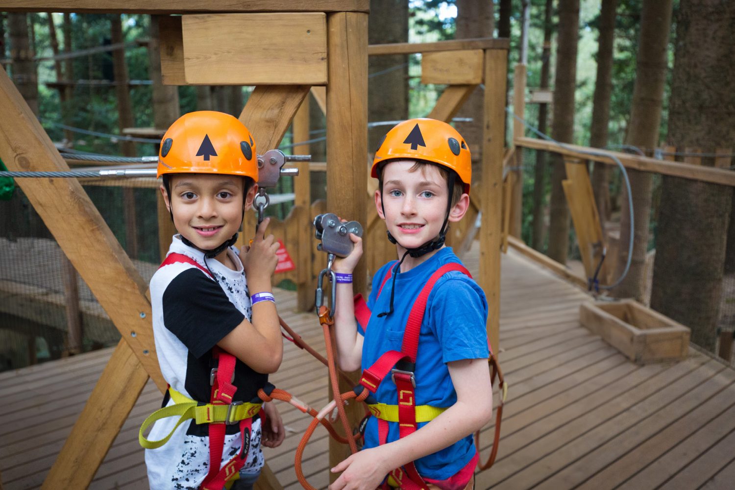 Kids Club Treetops Adventure The Hills | Scenic High Ropes & Ziplines