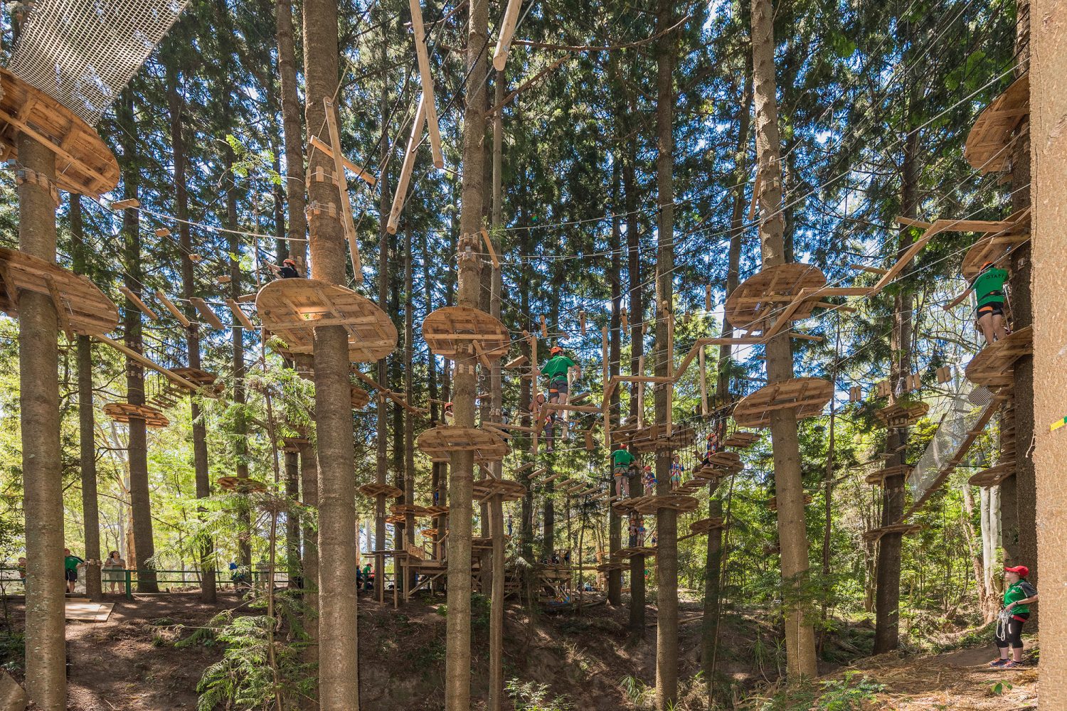 Treetops Adventure The Hills | Scenic High Ropes & Ziplines