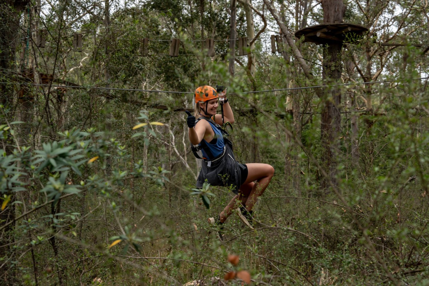 Treetops Adventure Western Sydney