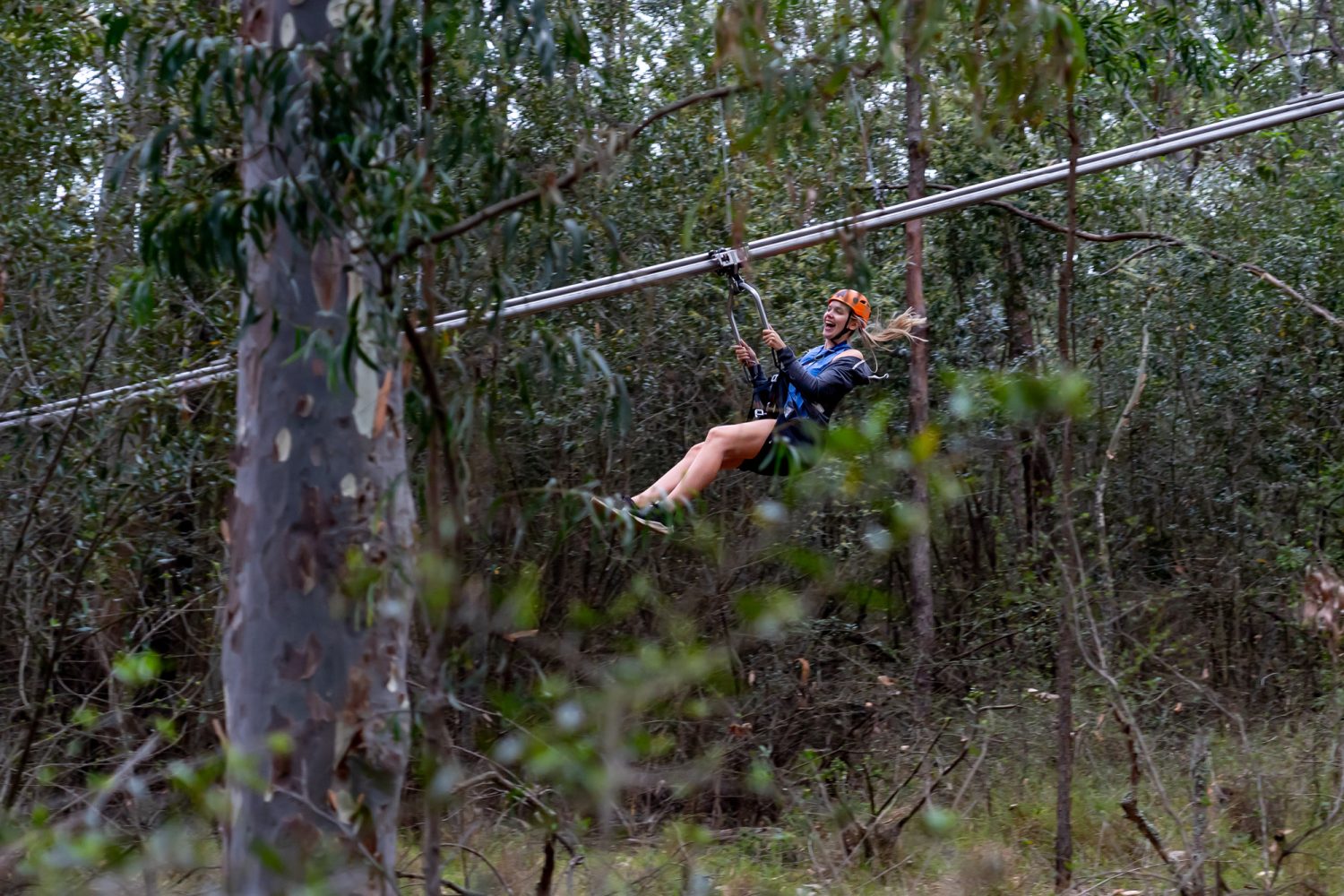Treetops Adventure Western Sydney | Australia’s fastest Zipcoaster