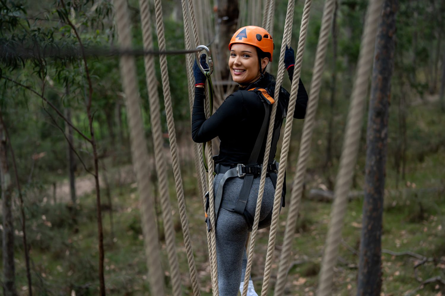 Treetops Adventure Western Sydney