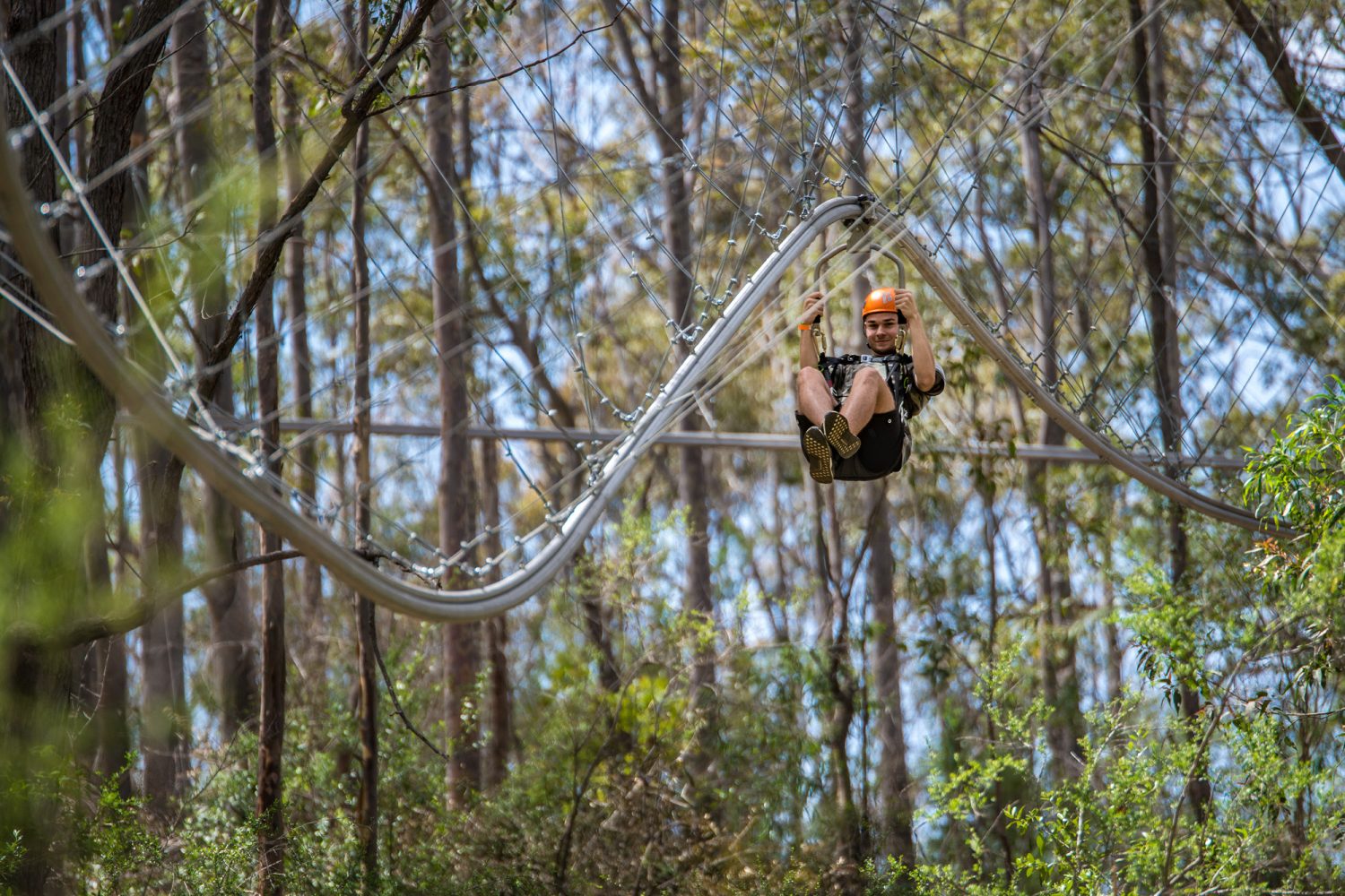 Treetops Adventure Western Sydney | Australia’s fastest Zipcoaster