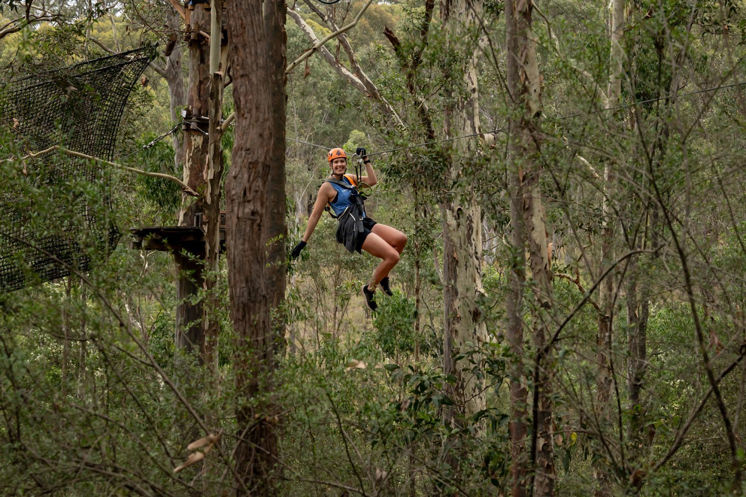 Treetops Adventure Western Sydney