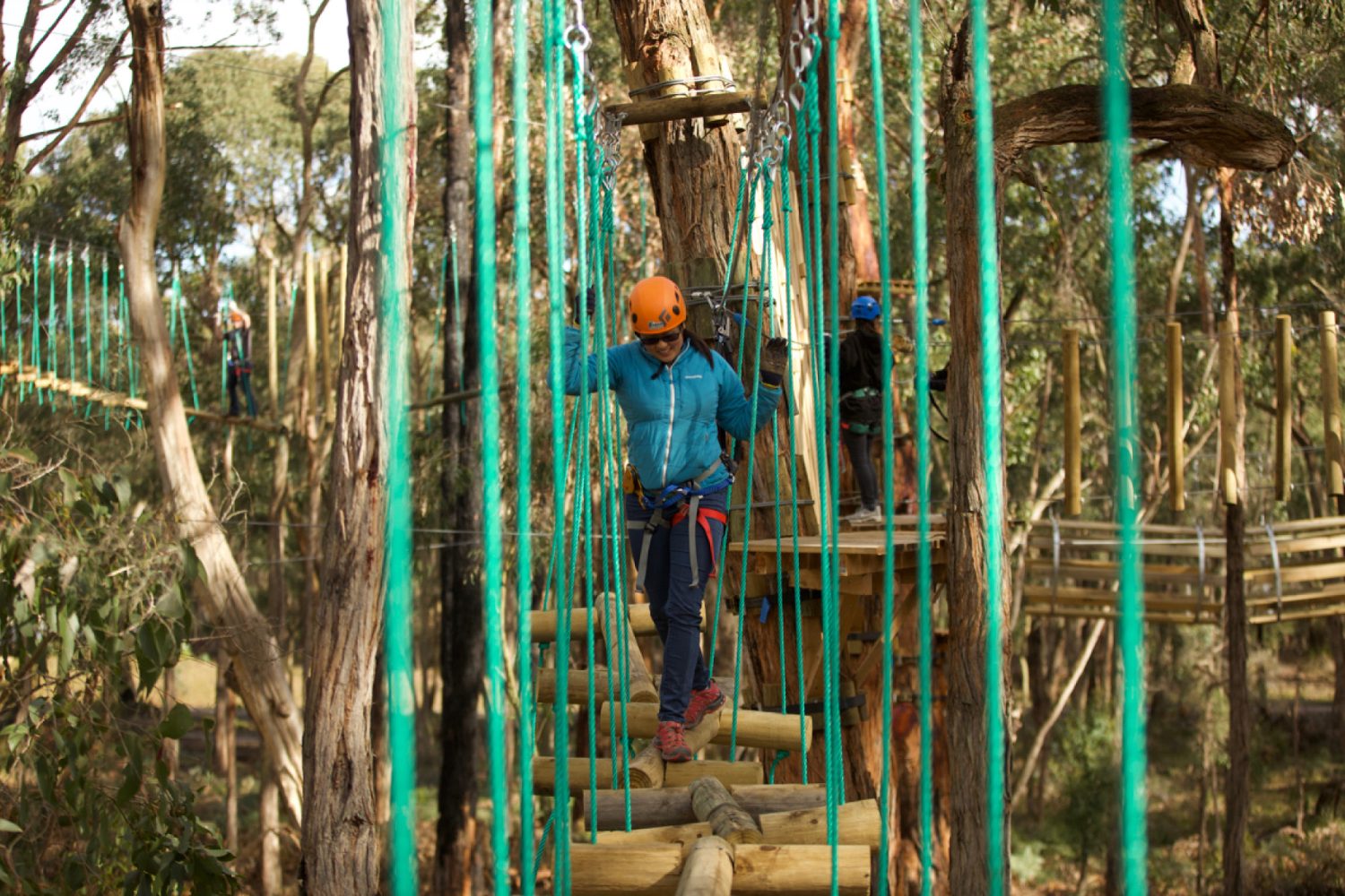 Treetops Adventure Yeodene | Outdoor Adventure in Victoria’s Otway Forest