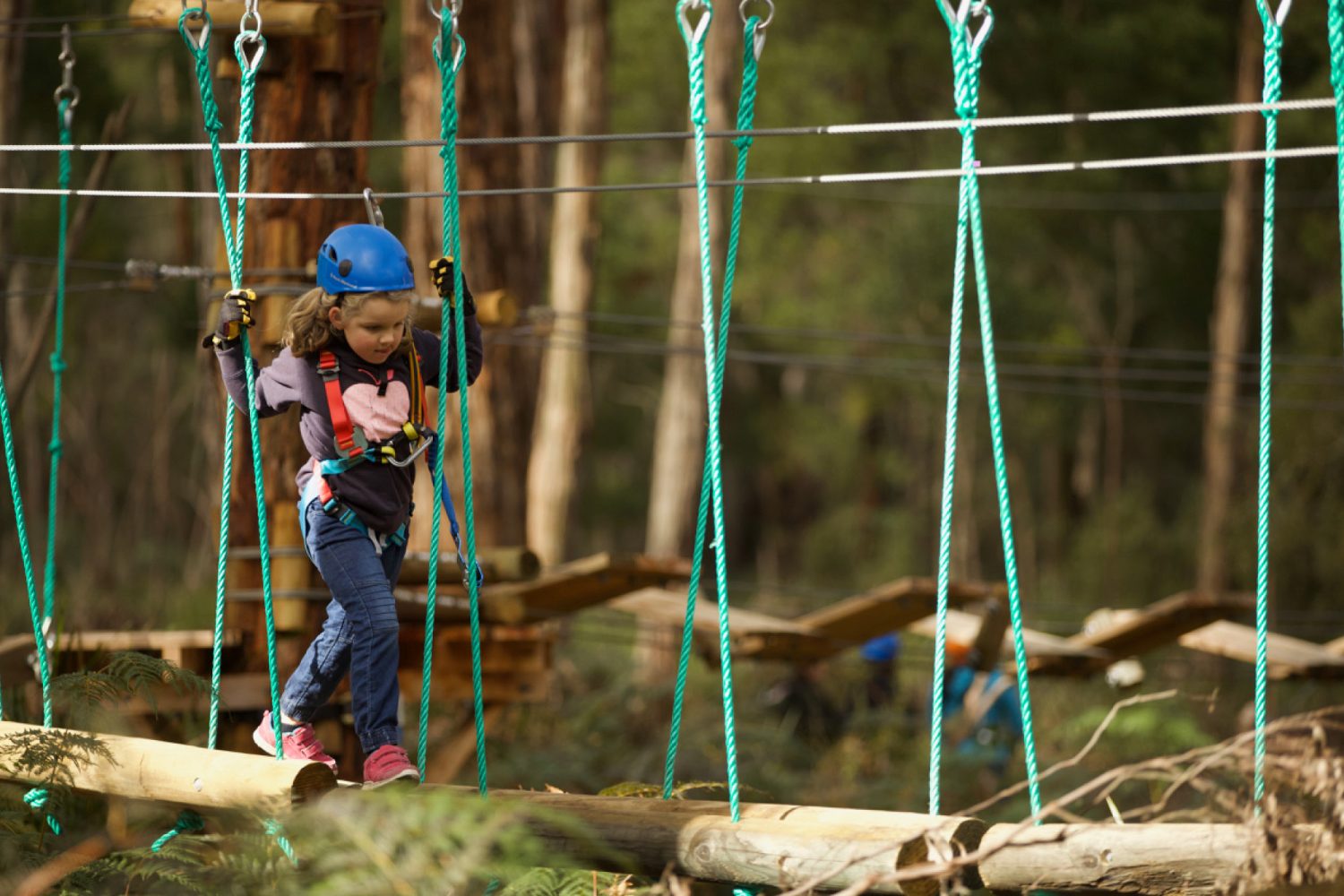 Kids Treetops Adventure Yeodene | Outdoor Adventure in Victoria’s Otway Forest