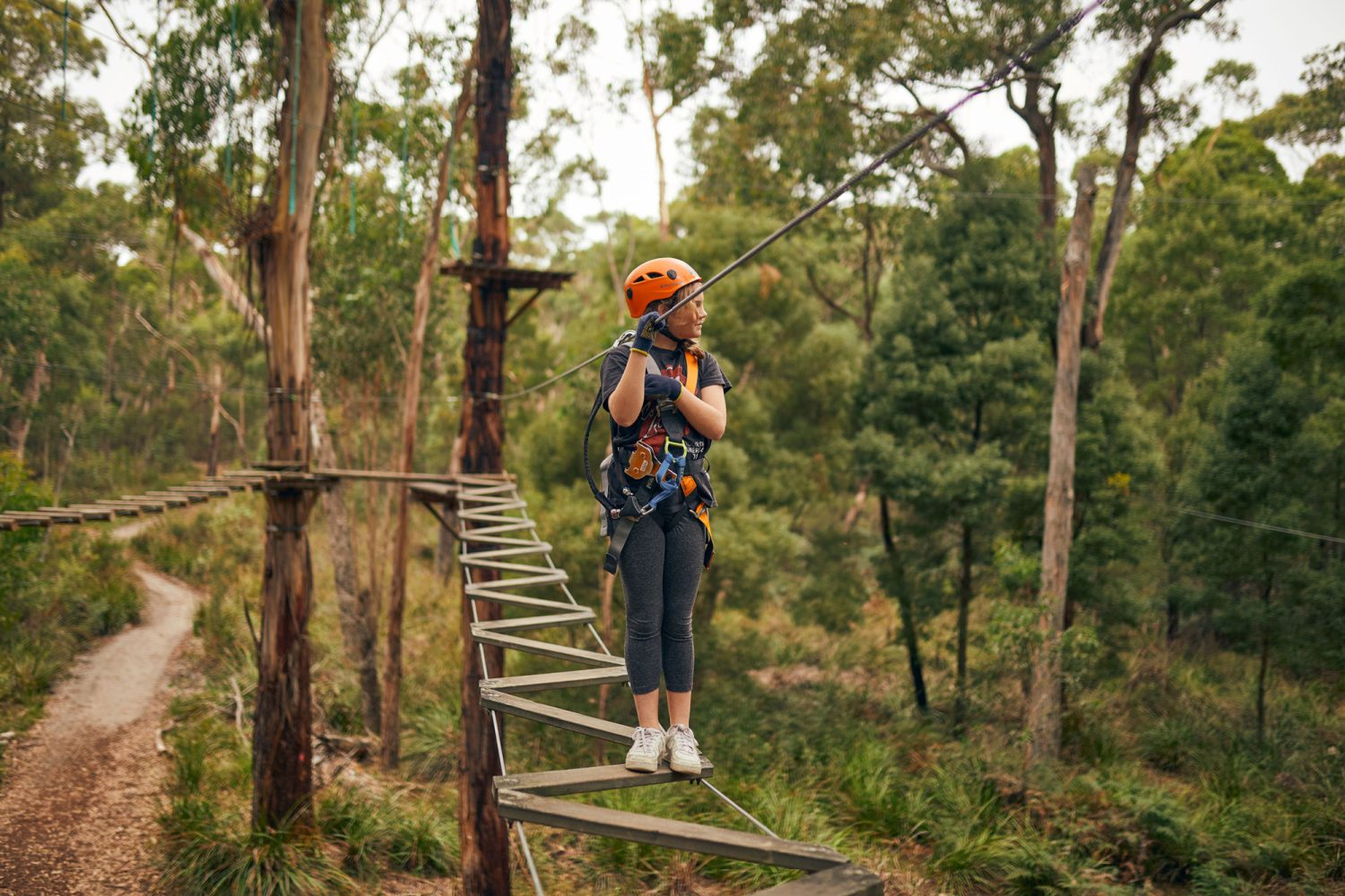 Treetops Adventure Yeodene | Outdoor Adventure in Victoria’s Otway Forest
