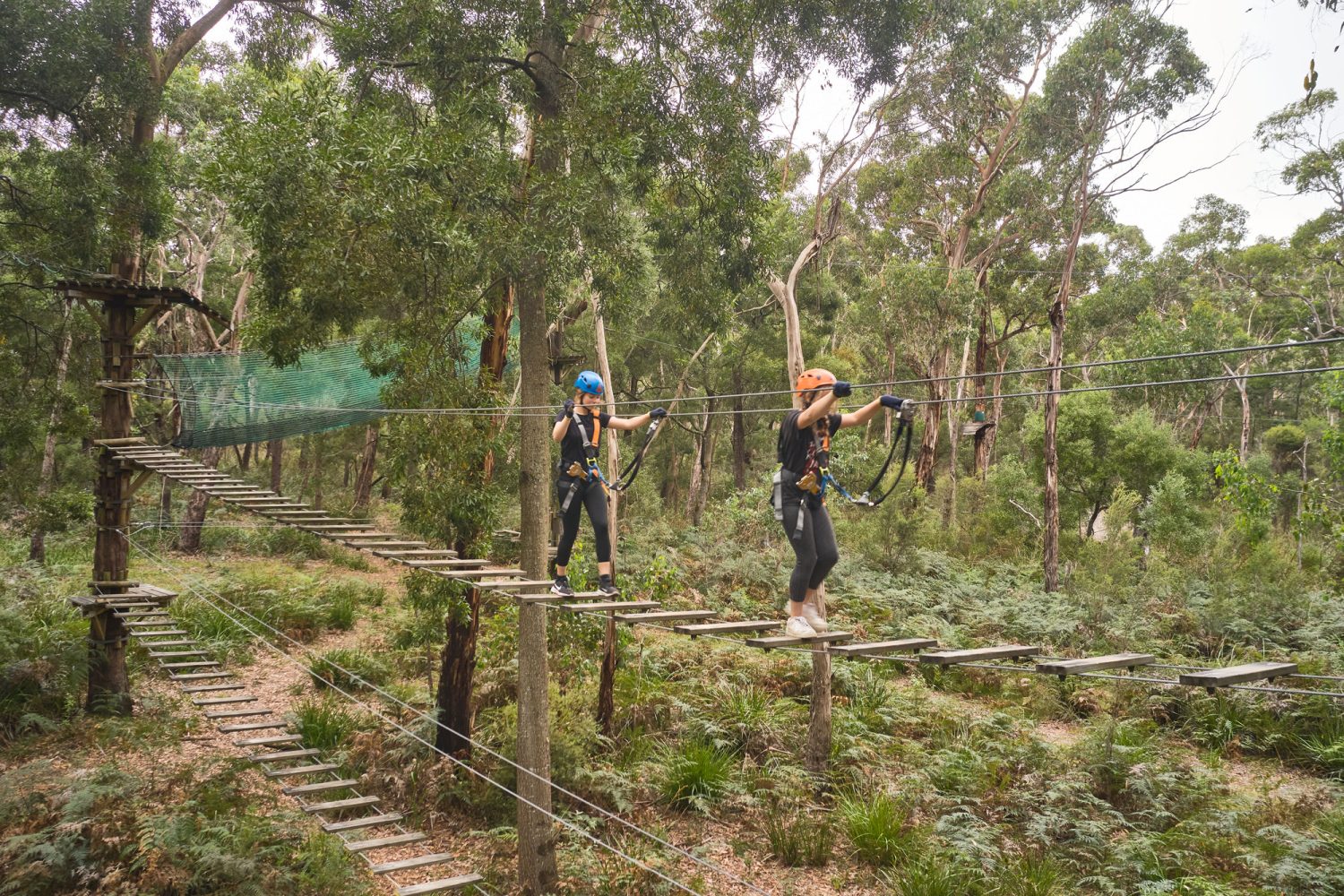 Friends at Treetops Adventure Yeodene | Outdoor Adventure in Victoria’s Otway Forest