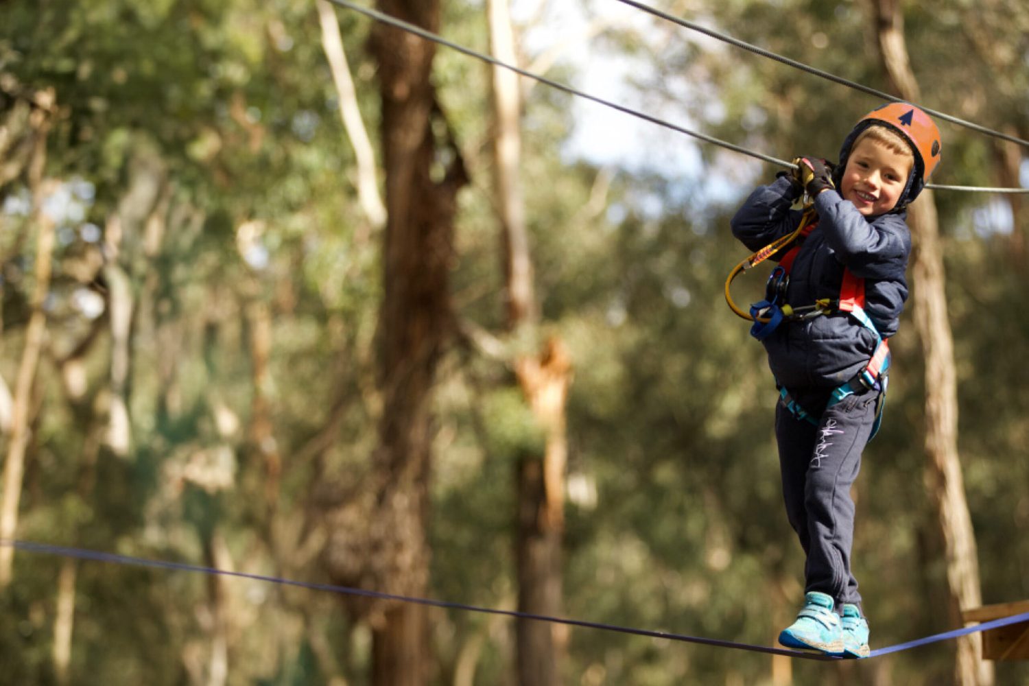 Australia’s #1 Treetops Adventure | Active Kids NSW