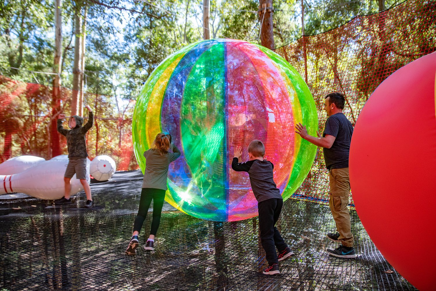 Treetops Adventure Central Coast | Canberra | Networld | Kids