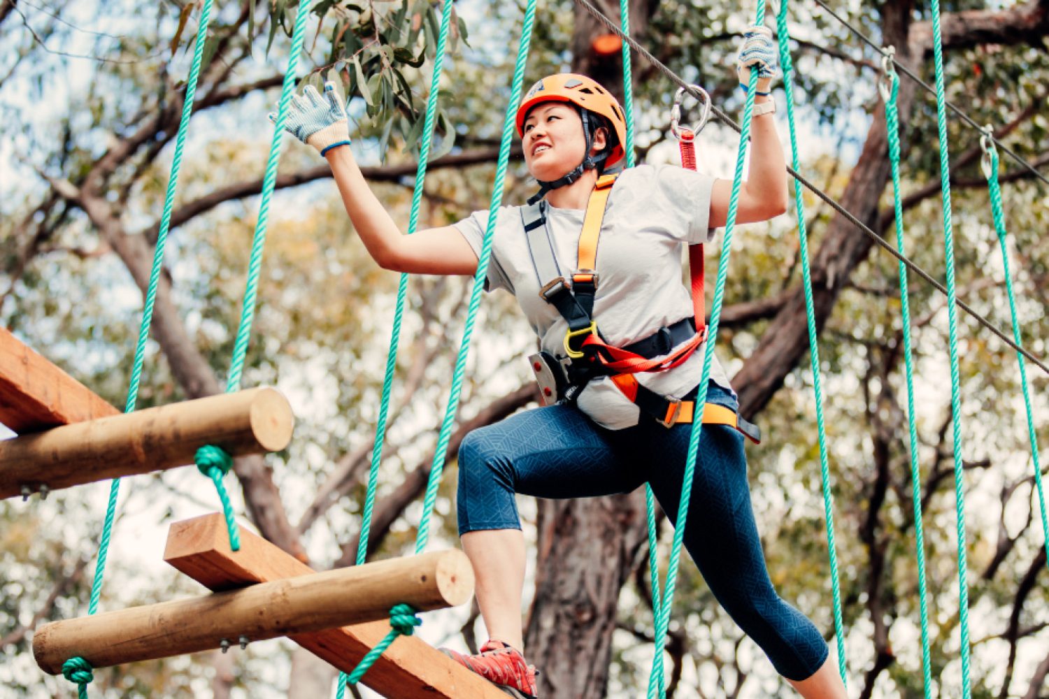 Treetops Adventure Dwellingup | Aerial Challenges & Ziplining in WA’s Forest