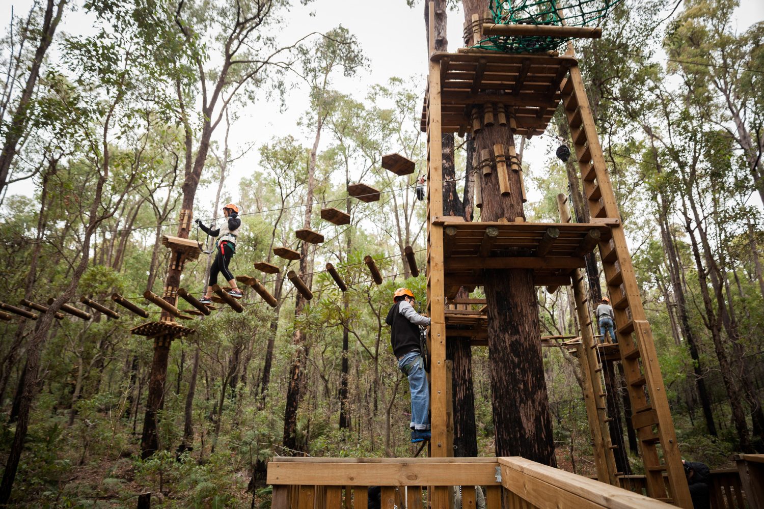 Treetops Adventure Dwellingup | Aerial Challenges & Ziplining in WA’s Forest