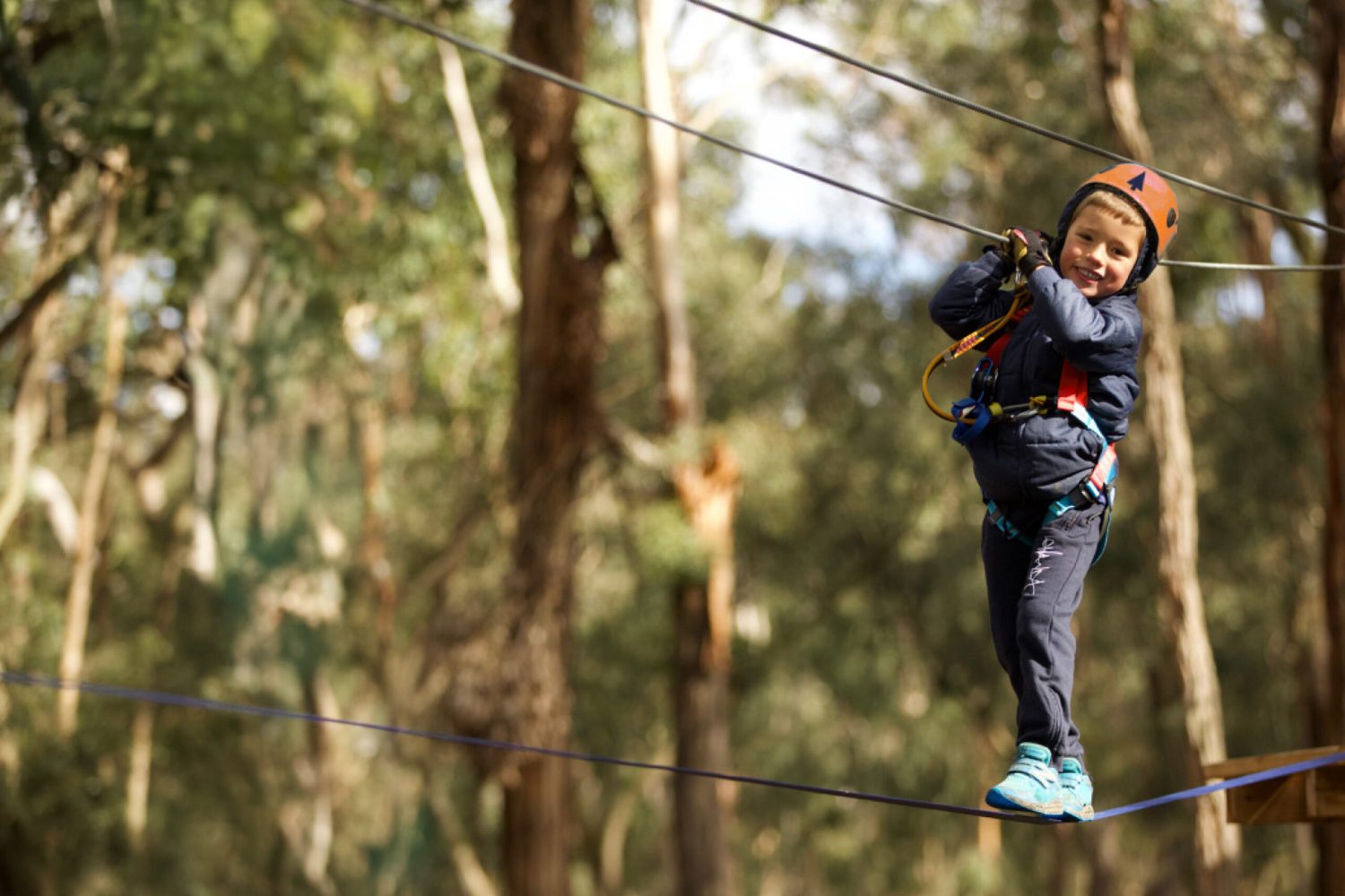 Treetops Adventure Yanchep | Aerial Challenges & Wildlife in Yanchep National Park