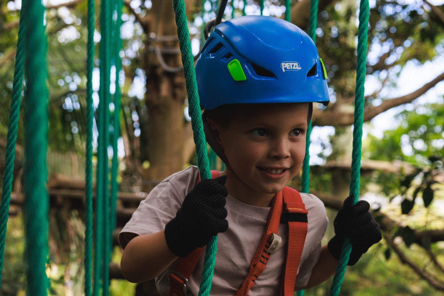 Kids Club at Treetops Adventure Wild Ropes at Taronga Zoo
